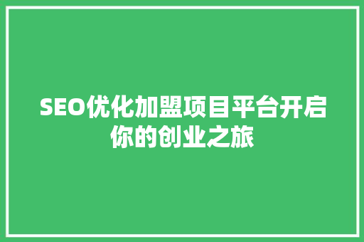 SEO优化加盟项目平台开启你的创业之旅