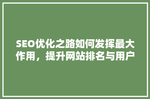SEO优化之路如何发挥最大作用，提升网站排名与用户体验