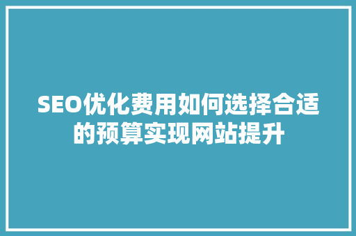 SEO优化费用如何选择合适的预算实现网站提升
