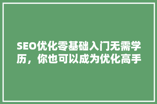 SEO优化零基础入门无需学历，你也可以成为优化高手