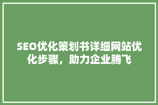 SEO优化策划书详细网站优化步骤，助力企业腾飞