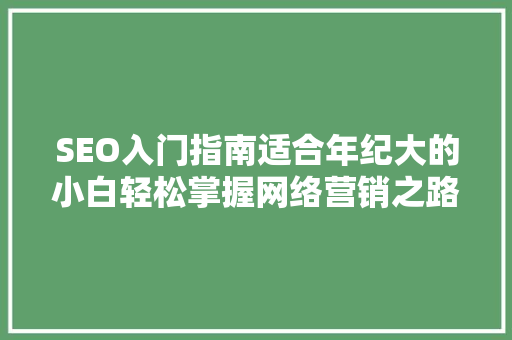 SEO入门指南适合年纪大的小白轻松掌握网络营销之路