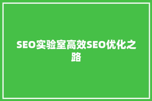 SEO实验室高效SEO优化之路