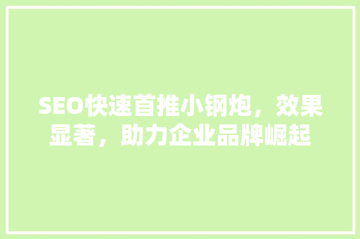 SEO快速首推小钢炮，效果显著，助力企业品牌崛起