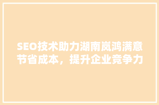 SEO技术助力湖南岚鸿满意节省成本，提升企业竞争力