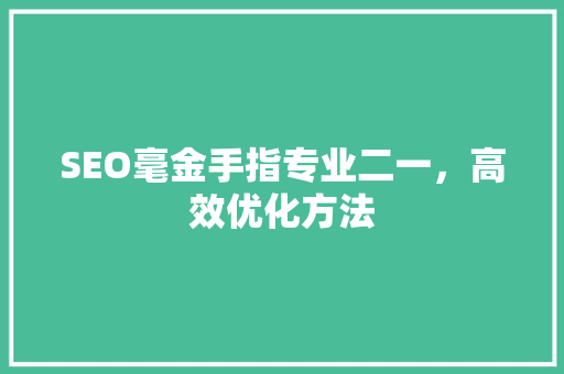 SEO毫金手指专业二一，高效优化方法