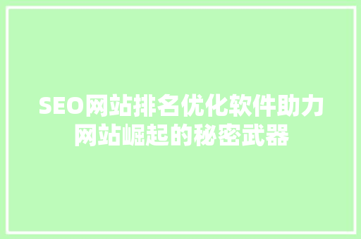SEO网站排名优化软件助力网站崛起的秘密武器