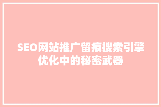 SEO网站推广留痕搜索引擎优化中的秘密武器