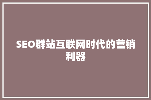 SEO群站互联网时代的营销利器