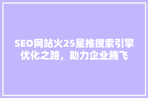 SEO网站火25星推搜索引擎优化之路，助力企业腾飞
