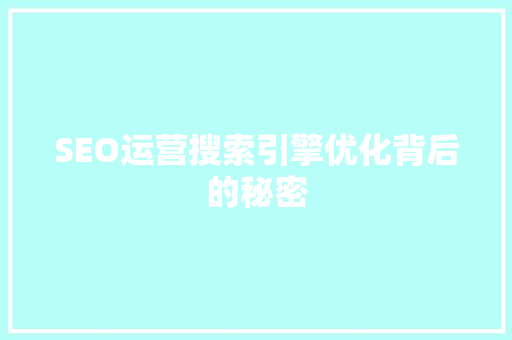 SEO运营搜索引擎优化背后的秘密