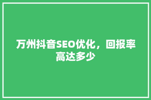 万州抖音SEO优化，回报率高达多少