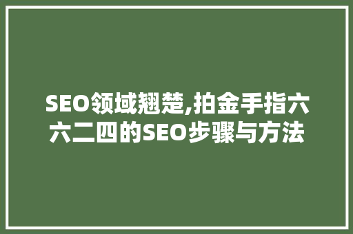 SEO领域翘楚,拍金手指六六二四的SEO步骤与方法