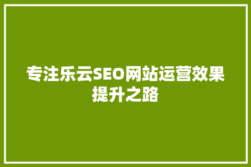 专注乐云SEO网站运营效果提升之路