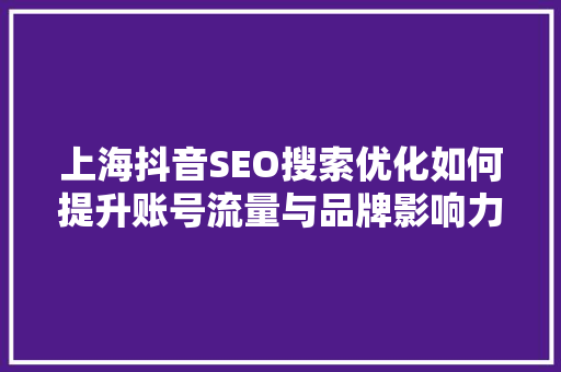 上海抖音SEO搜索优化如何提升账号流量与品牌影响力