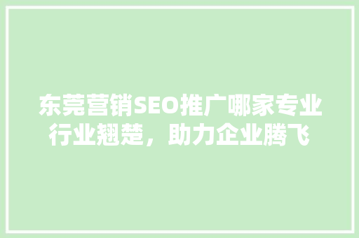 东莞营销SEO推广哪家专业行业翘楚，助力企业腾飞