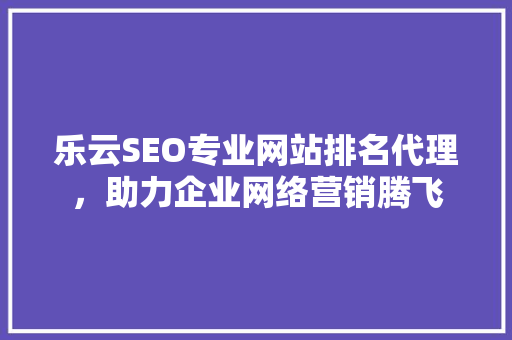 乐云SEO专业网站排名代理，助力企业网络营销腾飞
