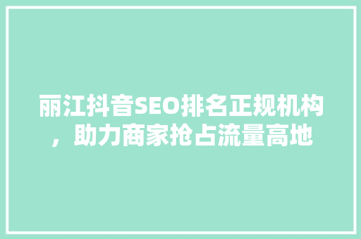 丽江抖音SEO排名正规机构，助力商家抢占流量高地