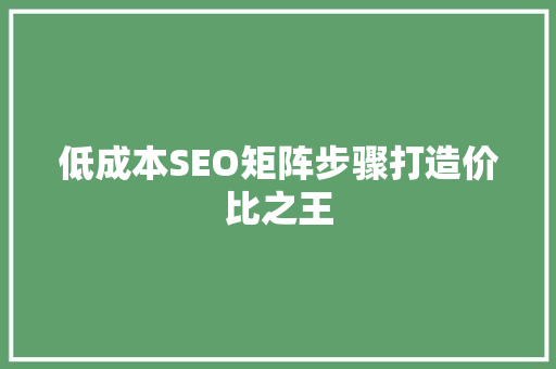 低成本SEO矩阵步骤打造价比之王