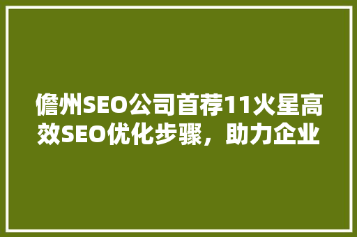 儋州SEO公司首荐11火星高效SEO优化步骤，助力企业腾飞