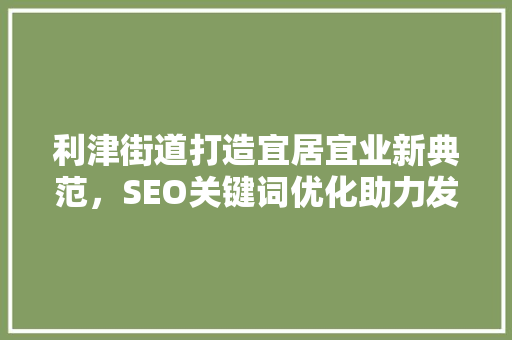 利津街道打造宜居宜业新典范，SEO关键词优化助力发展
