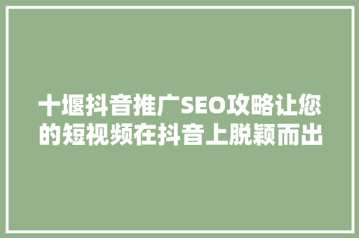 十堰抖音推广SEO攻略让您的短视频在抖音上脱颖而出
