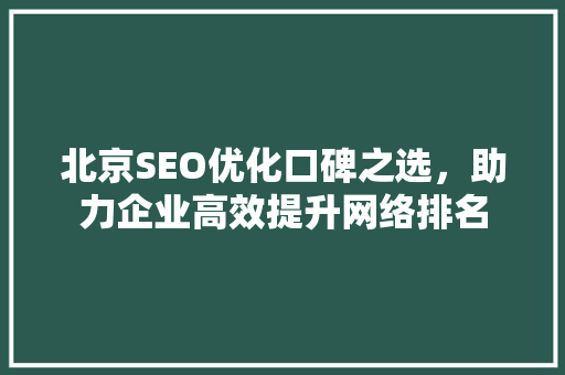 北京SEO优化口碑之选，助力企业高效提升网络排名