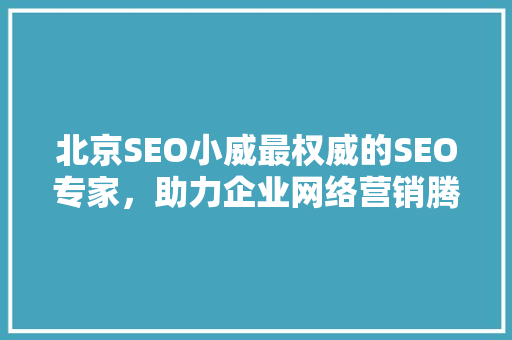北京SEO小威最权威的SEO专家，助力企业网络营销腾飞