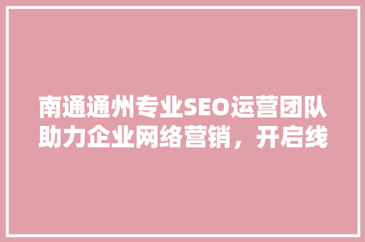 南通通州专业SEO运营团队助力企业网络营销，开启线上新篇章