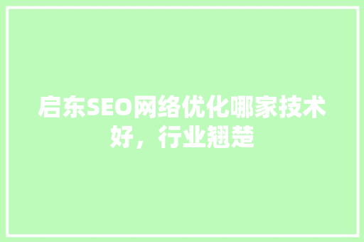 启东SEO网络优化哪家技术好，行业翘楚