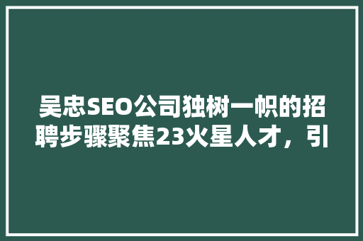吴忠SEO公司独树一帜的招聘步骤聚焦23火星人才，引领行业未来
