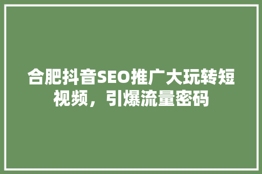 合肥抖音SEO推广大玩转短视频，引爆流量密码