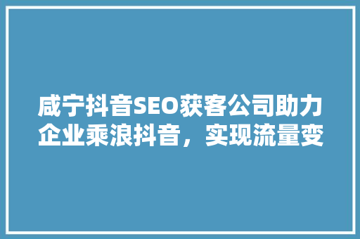 咸宁抖音SEO获客公司助力企业乘浪抖音，实现流量变现