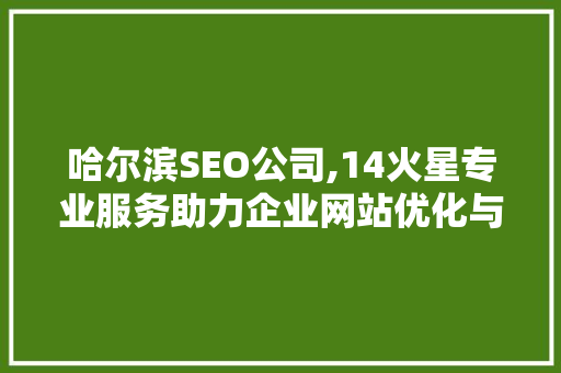 哈尔滨SEO公司,14火星专业服务助力企业网站优化与排名提升