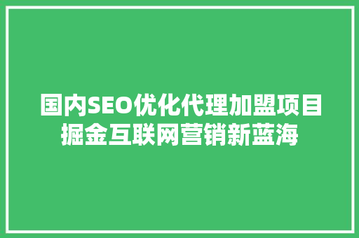 国内SEO优化代理加盟项目掘金互联网营销新蓝海