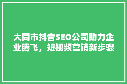 大同市抖音SEO公司助力企业腾飞，短视频营销新步骤