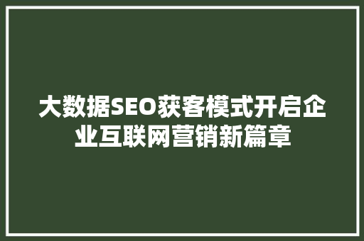 大数据SEO获客模式开启企业互联网营销新篇章