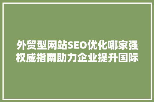外贸型网站SEO优化哪家强权威指南助力企业提升国际竞争力