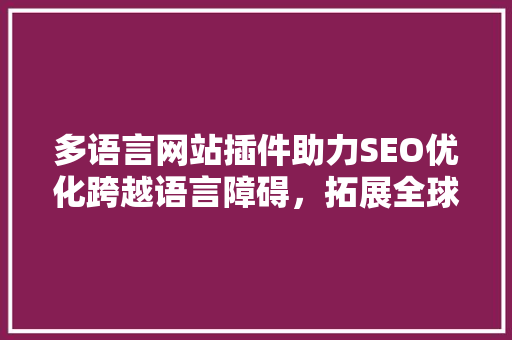 多语言网站插件助力SEO优化跨越语言障碍，拓展全球市场