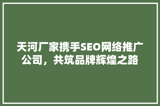天河厂家携手SEO网络推广公司，共筑品牌辉煌之路