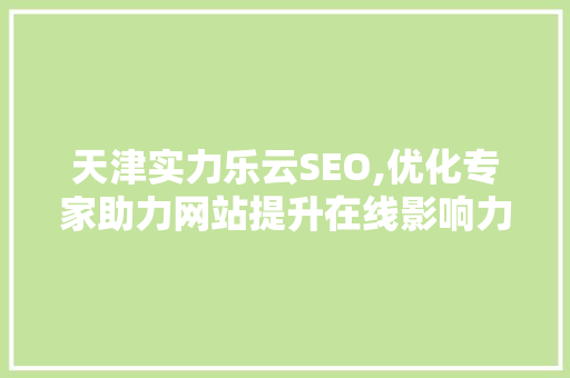 天津实力乐云SEO,优化专家助力网站提升在线影响力的奥秘