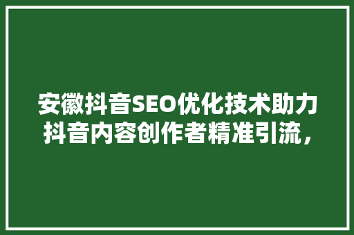 安徽抖音SEO优化技术助力抖音内容创作者精准引流，提升账号影响力