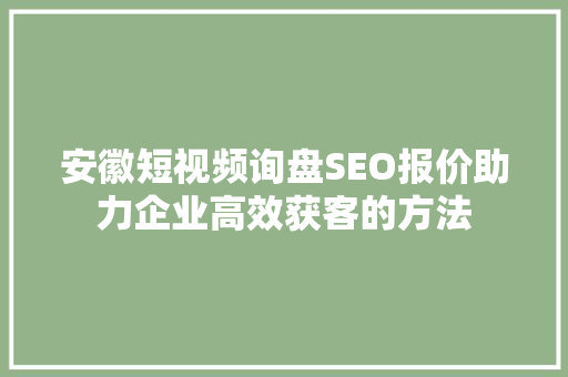 安徽短视频询盘SEO报价助力企业高效获客的方法