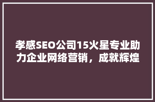 孝感SEO公司15火星专业助力企业网络营销，成就辉煌未来