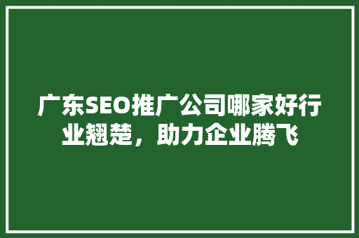 广东SEO推广公司哪家好行业翘楚，助力企业腾飞