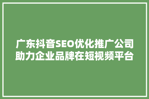 广东抖音SEO优化推广公司助力企业品牌在短视频平台脱颖而出