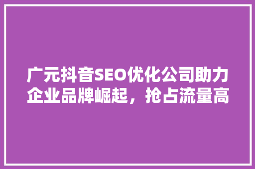 广元抖音SEO优化公司助力企业品牌崛起，抢占流量高地