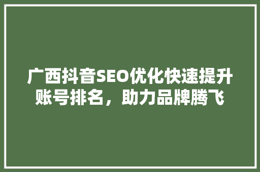 广西抖音SEO优化快速提升账号排名，助力品牌腾飞