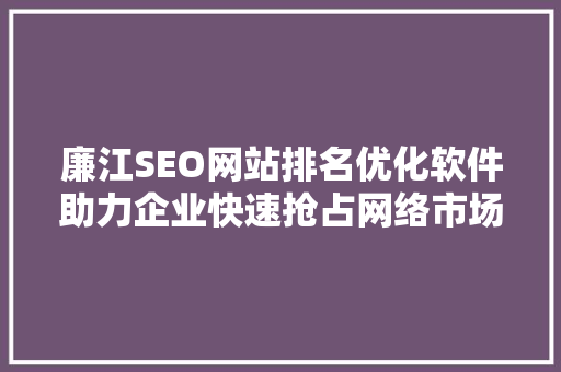 廉江SEO网站排名优化软件助力企业快速抢占网络市场