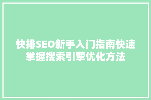 快排SEO新手入门指南快速掌握搜索引擎优化方法